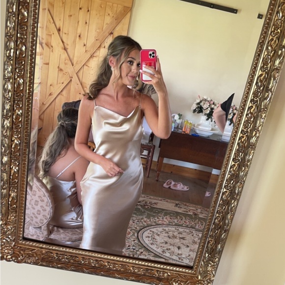 Birdy Grey Champagne Midi Dress - Picture 2 of 6